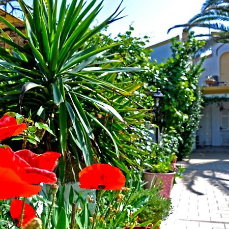 Villa Elena Studios Dassia  Bagian luar foto