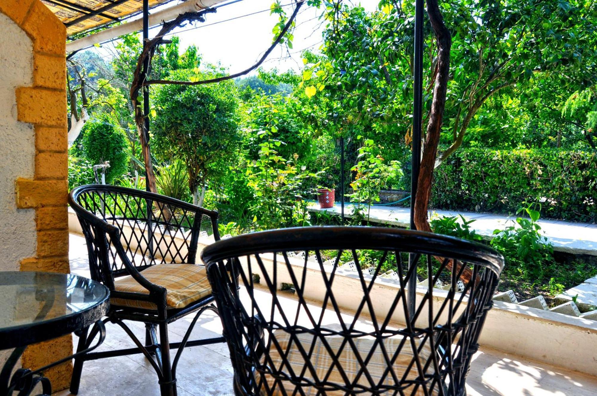 Villa Elena Studios Dassia  Bagian luar foto