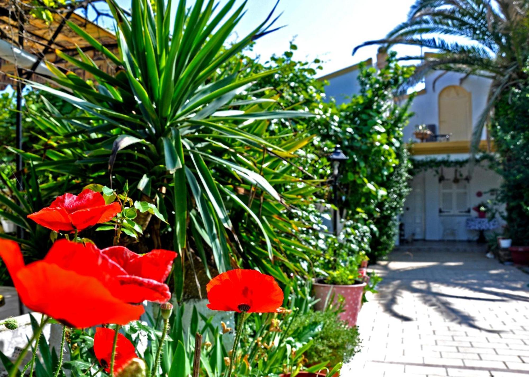 Villa Elena Studios Dassia  Bagian luar foto