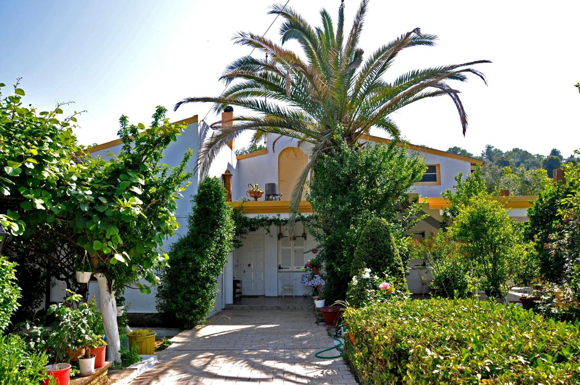 Villa Elena Studios Dassia  Bagian luar foto