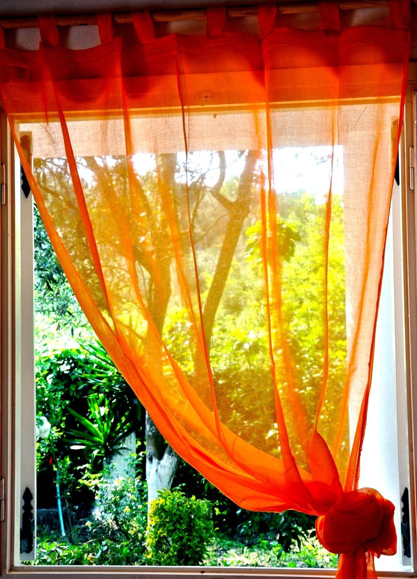 Villa Elena Studios Dassia  Bagian luar foto