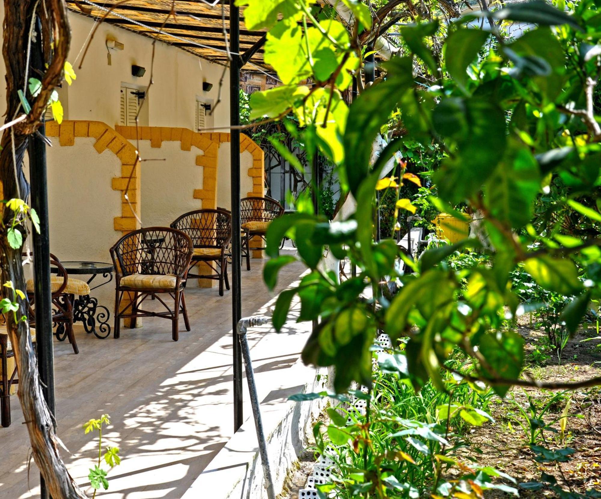 Villa Elena Studios Dassia  Bagian luar foto